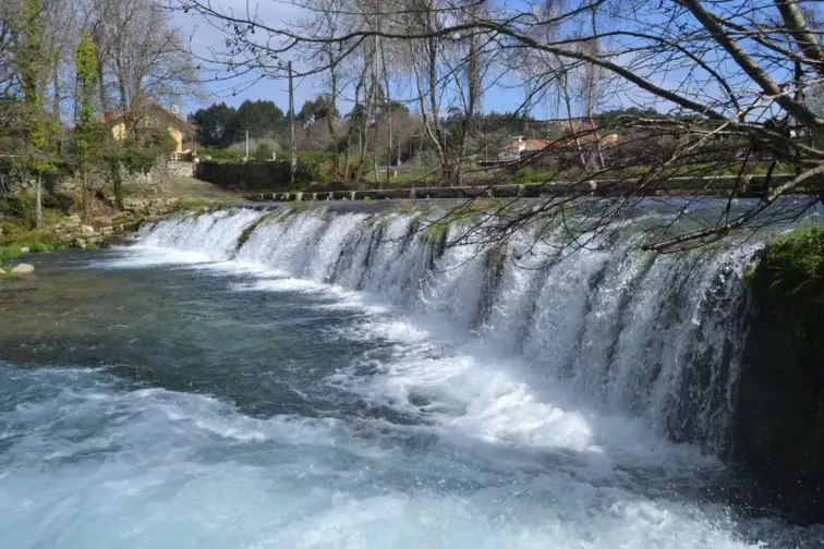 Cerca de 25 mil pequenas trutas foram libertadas no rio Âncora